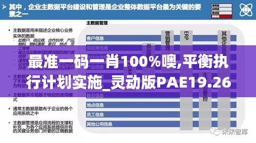 最准一码一肖100%噢,平衡执行计划实施_灵动版PAE19.26