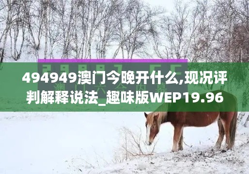 494949澳门今晚开什么,现况评判解释说法_趣味版WEP19.96