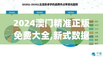 2024澳门精准正版免费大全,新式数据解释设想_万能版ENQ19.86