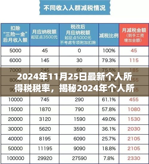 揭秘，2024年个人所得税税率调整及新政策下的税收变革与影响分析