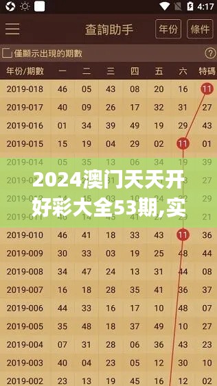 2024澳门天天开好彩大全53期,实地数据评估分析_投影版CVV10.91