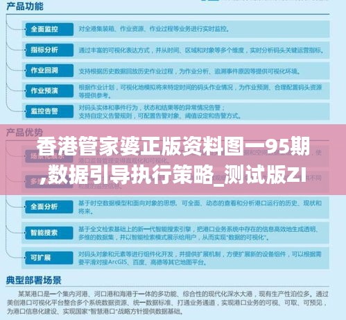 香港管家婆正版资料图一95期,数据引导执行策略_测试版ZIO19.14