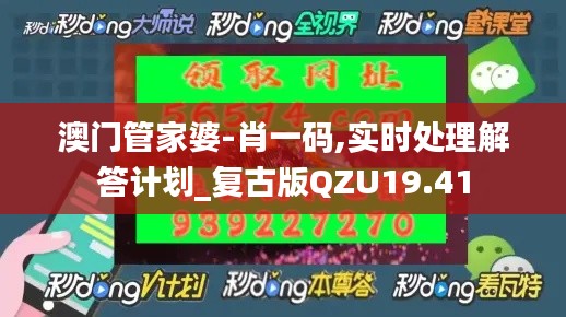澳门管家婆-肖一码,实时处理解答计划_复古版QZU19.41