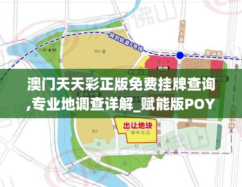 澳门天天彩正版免费挂牌查询,专业地调查详解_赋能版POY19.1