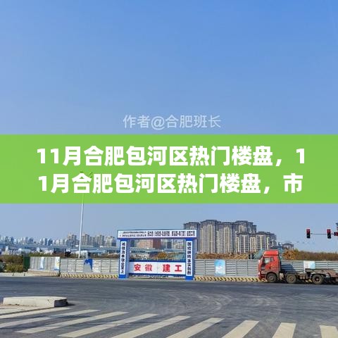 合肥包河区热门楼盘揭秘，市场热度背后的深度解析