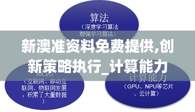 新澳准资料免费提供,创新策略执行_计算能力版LXR19.17