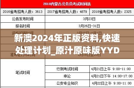 新澳2024年正版资料,快速处理计划_原汁原味版YYD19.99