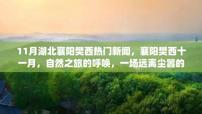 湖北襄阳樊西十一月热门新闻，自然之旅的心灵觉醒之旅