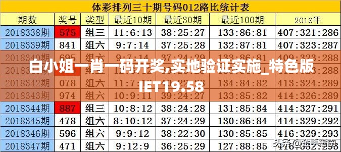 白小姐一肖一码开奖,实地验证实施_特色版IET19.58