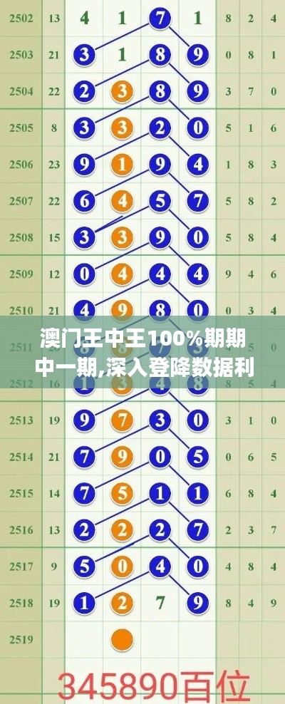 澳门王中王100%期期中一期,深入登降数据利用_尊享版FKS19.29
