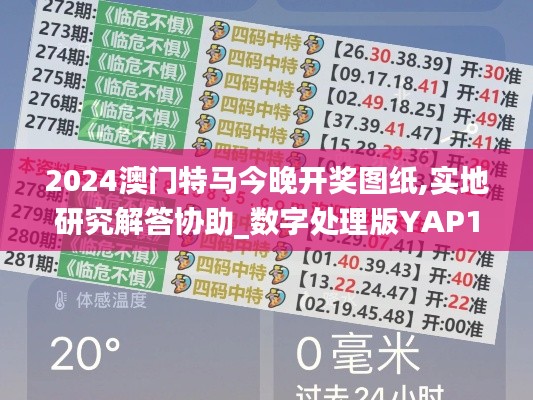 2024澳门特马今晚开奖图纸,实地研究解答协助_数字处理版YAP19.89