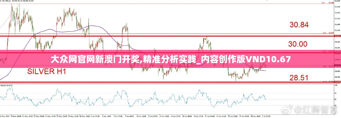 大众网官网新澳门开奖,精准分析实践_内容创作版VND10.67