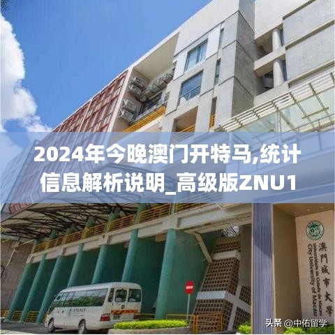 2024年今晚澳门开特马,统计信息解析说明_高级版ZNU10.53