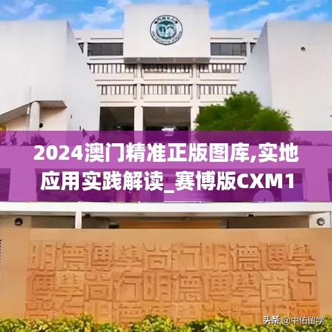 2024澳门精准正版图库,实地应用实践解读_赛博版CXM10.65