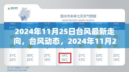 2024年11月25日台风动态及路径揭秘，影响回顾与最新走向