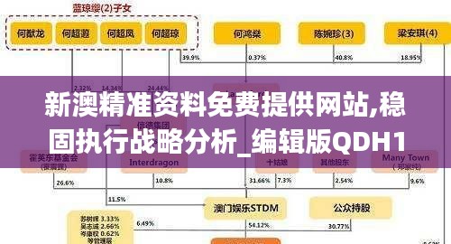新澳精准资料免费提供网站,稳固执行战略分析_编辑版QDH19.27