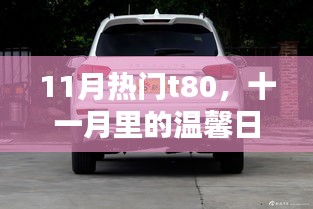 十一月里的温馨日常，与T80的奇妙时光