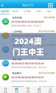 2024澳门王中王100%期期中,机制评估方案_权限版CWX10.95