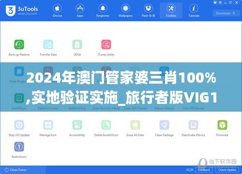2024年澳门管家婆三肖100%,实地验证实施_旅行者版VIG10.82