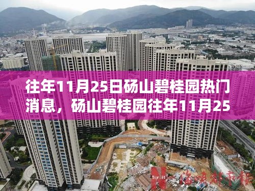 砀山碧桂园11月25日热门消息全面回顾与评测