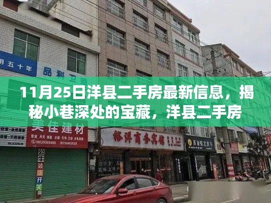 洋县二手房最新信息揭秘，小巷深处的宝藏与特色小店的故事