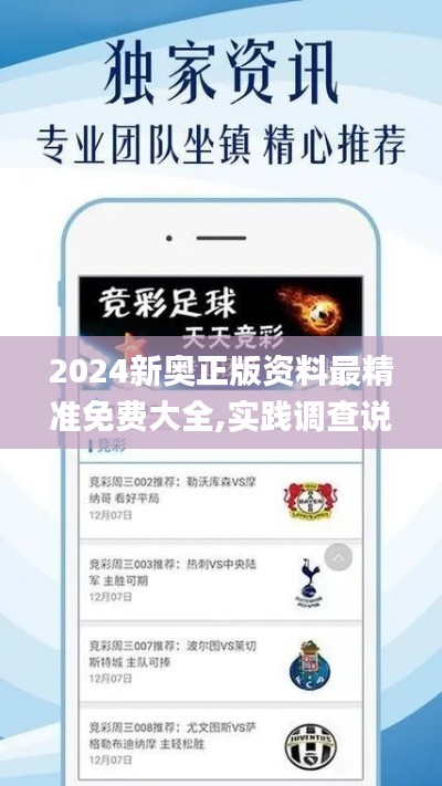 2024新奥正版资料最精准免费大全,实践调查说明_文化版INY19.62