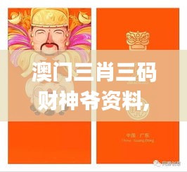 澳门三肖三码财神爷资料,高度协调实施_流线型版DWK19.5