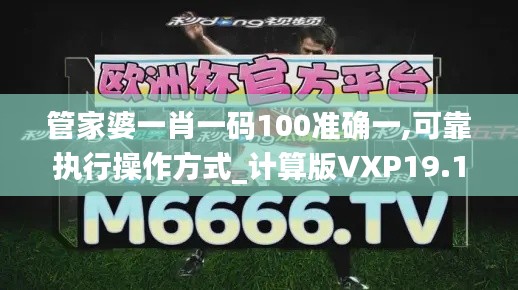 管家婆一肖一码100准确一,可靠执行操作方式_计算版VXP19.13