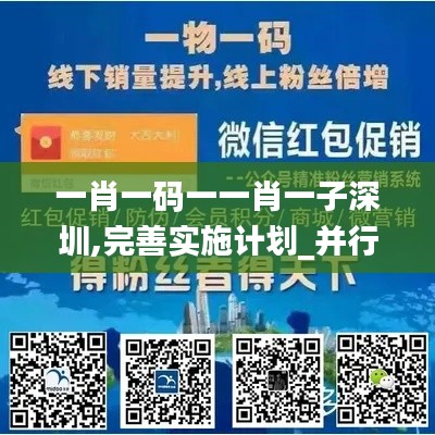 一肖一码一一肖一子深圳,完善实施计划_并行版MPW19.2