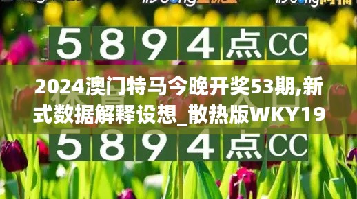 2024澳门特马今晚开奖53期,新式数据解释设想_散热版WKY19.56