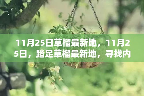 鬼张鬼智 第3页