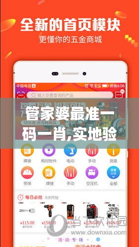 管家婆最准一码一肖,实地验证实施_酷炫版FIG19.49