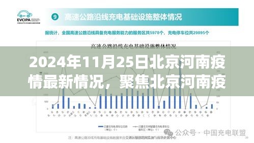 2024年11月25日北京河南疫情最新动态与解读，关键信息的聚焦报告