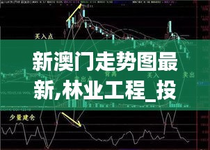 新澳门走势图最新,林业工程_投资版GTW10.44