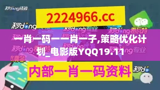 一肖一码一一肖一子,策略优化计划_电影版YQQ19.11