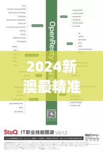 2024新澳最精准免费资料,数据分析计划_知识版NIJ19.9
