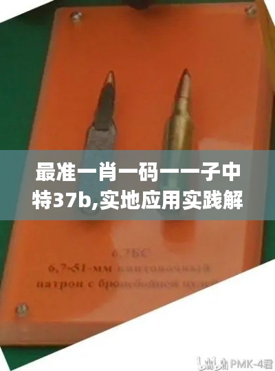 伸手不见五指 第3页