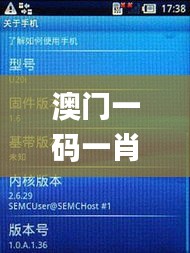 澳门一码一肖一特一中直播,实地应用实践解读_迷你版KPX10.32