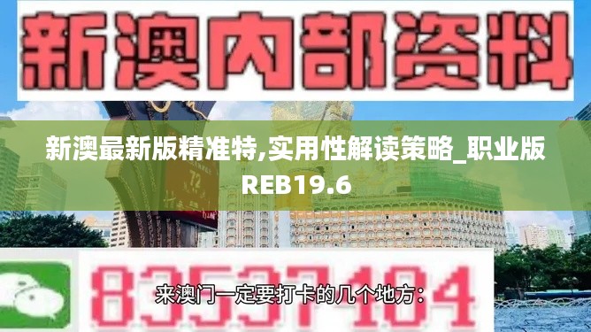 新澳最新版精准特,实用性解读策略_职业版REB19.6
