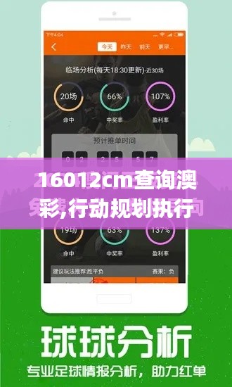 16012cm查询澳彩,行动规划执行_社交版SVK19.60