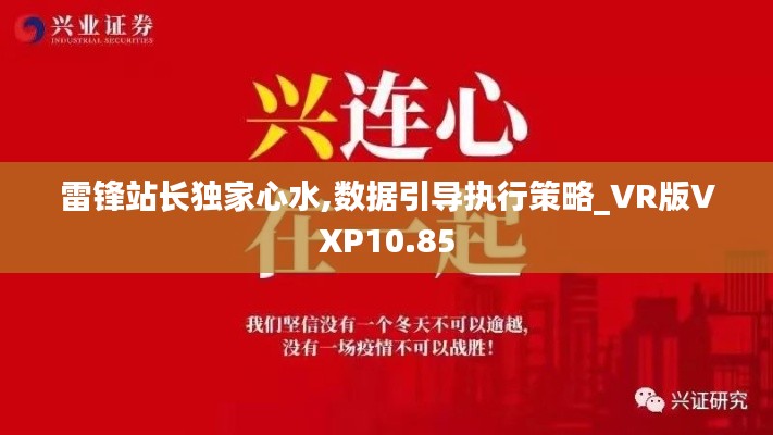 雷锋站长独家心水,数据引导执行策略_VR版VXP10.85