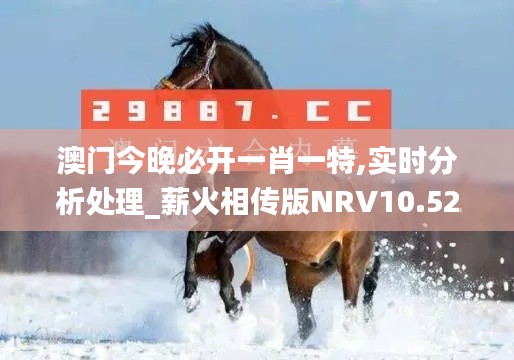 澳门今晚必开一肖一特,实时分析处理_薪火相传版NRV10.52