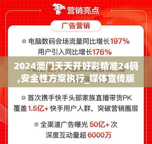2024澳门天天开好彩精准24码,安全性方案执行_媒体宣传版FUL19.11