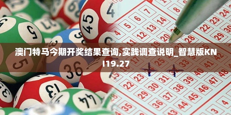 澳门特马今期开奖结果查询,实践调查说明_智慧版KNI19.27
