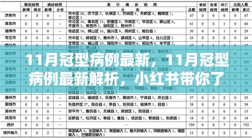 小红书解析，最新冠型病例动态与应对策略揭秘