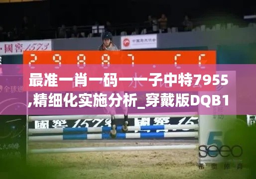 最准一肖一码一一子中特7955,精细化实施分析_穿戴版DQB19.17