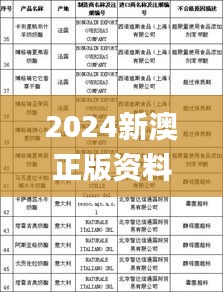 2024新澳正版资料,实时异文说明法_零障碍版FJC19.44