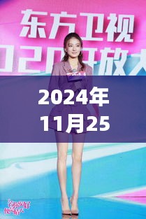 2024年徐璐最新动态深度评测，特性、体验、竞品对比与用户分析