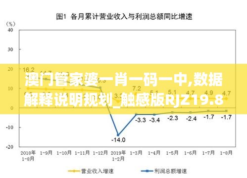 澳门管家婆一肖一码一中,数据解释说明规划_触感版RJZ19.84