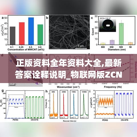 正版资料全年资料大全,最新答案诠释说明_物联网版ZCN19.90